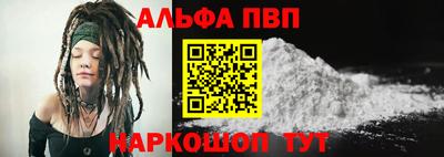 герыч Кингисепп