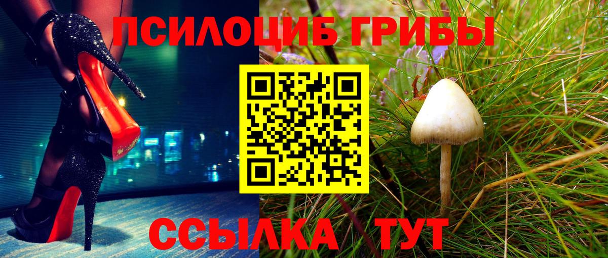 Красный Сулин  Псилоцибиновые грибы мухоморы  Вход с VPN  Галлюциногенные грибы Cubensis 